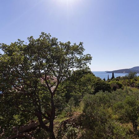 Villa Dubravka Mlini Rum bild